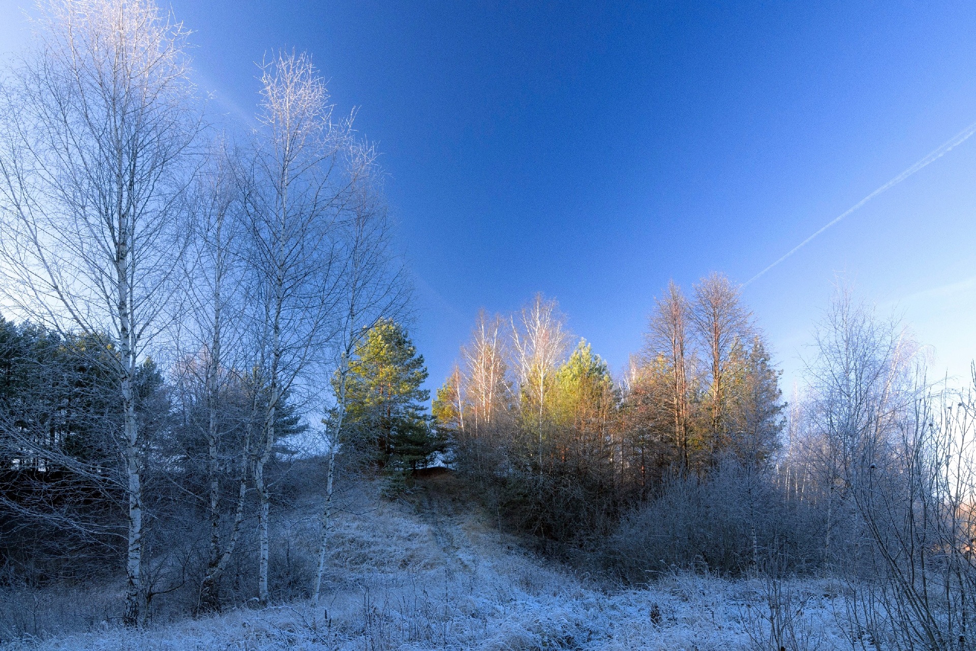 IMG 20230129 212545