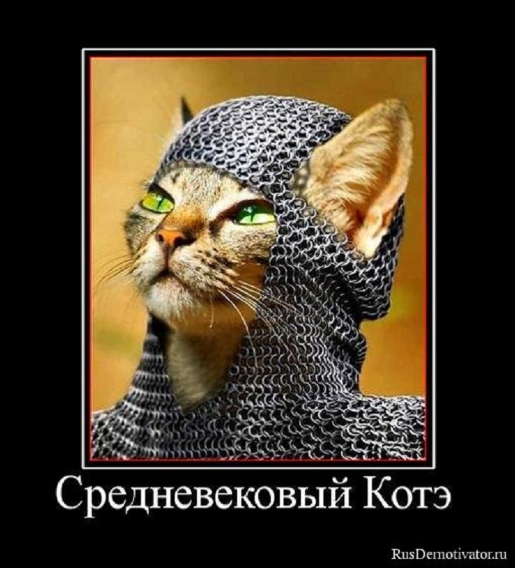 Средневековый котэ