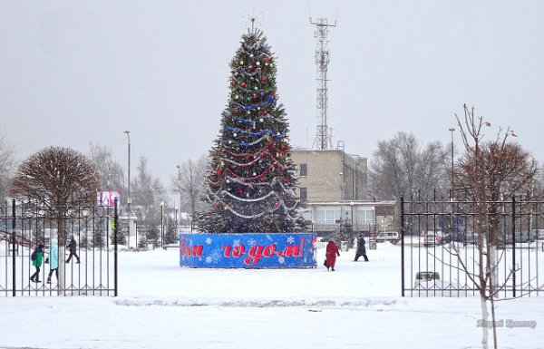 Елка в г.Павловске Воронежской обл. 27.12.2018