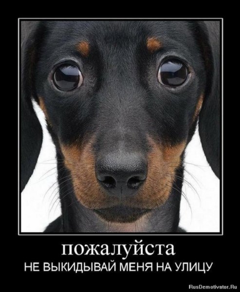 Не выкидывайте меня на улицу