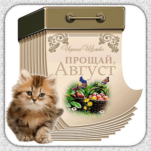 Анимированная открытка прощай август