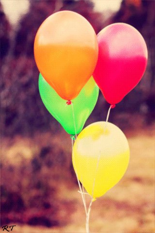 file_58548298