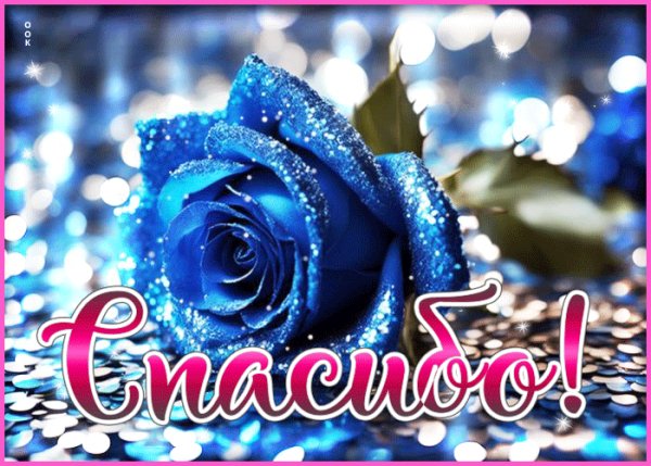file_98728031