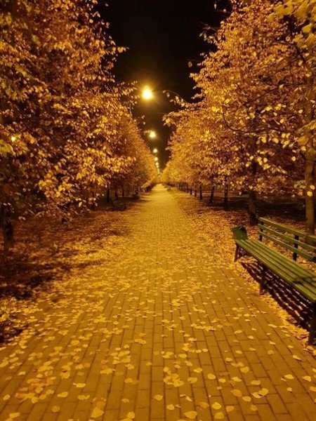 file_94765017