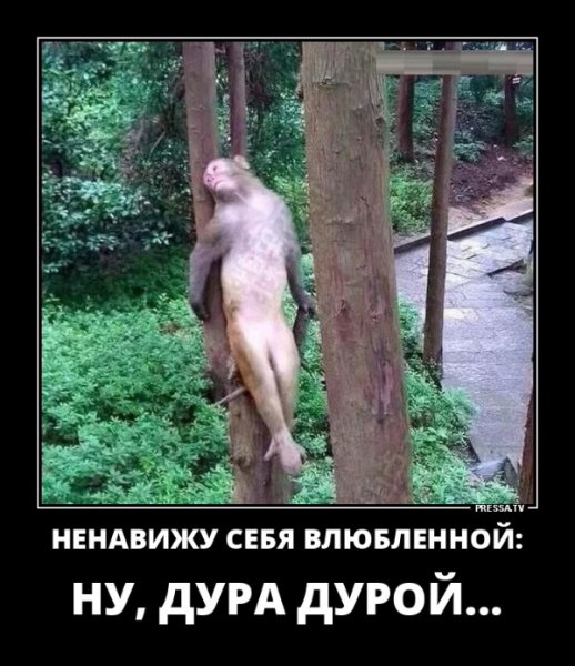 file_77210242