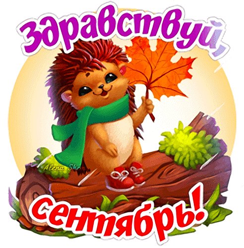 Здравствуй сентябрь