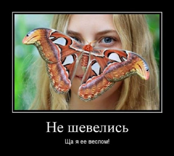 Не шевелись...