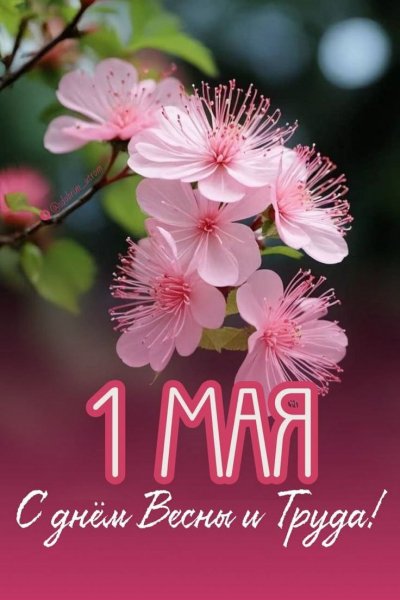IMG 20250501 052506 362