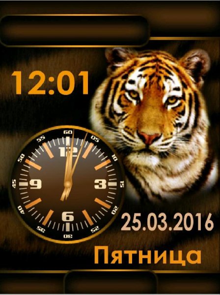 Тигр
