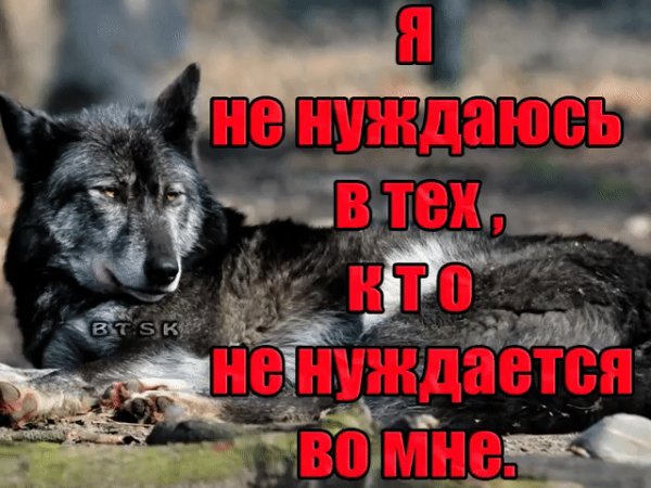 IMG 20241015 220711