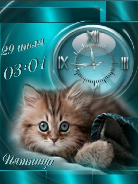 Котенок