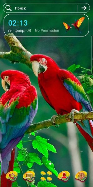 Macaw Parrot 1.0