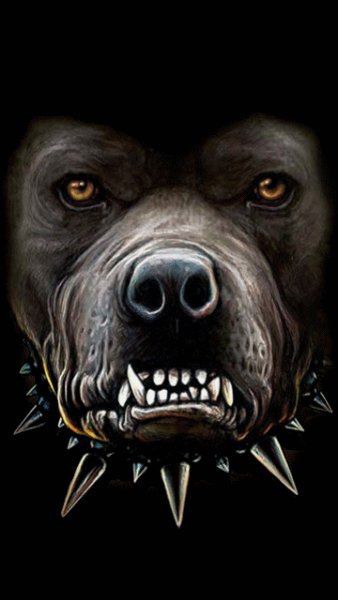 dog PwyqWPf1