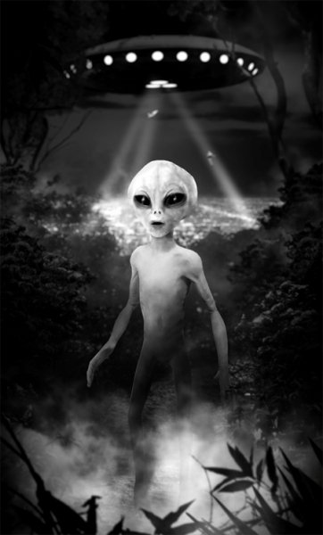 3D анимация