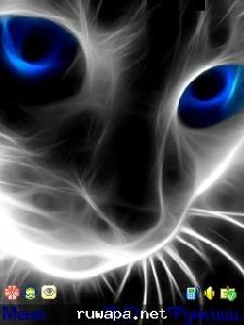 neon cat by kg-5 in 02012010204540 uploa