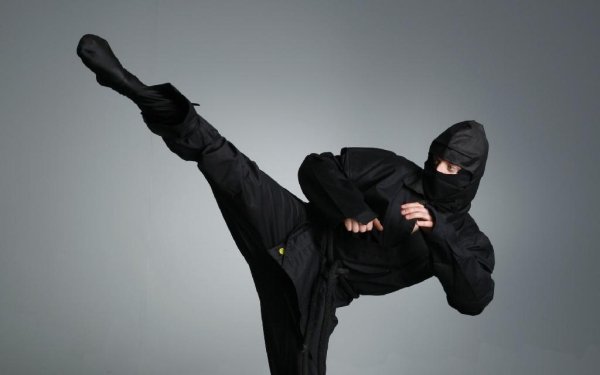 System Ninja 3.2.4 RePack (&amp; Portable) by elchupacabra