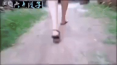 gif 1468501341
