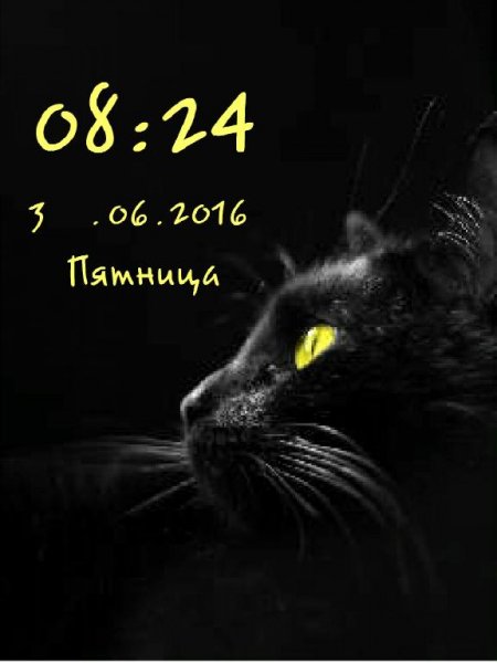 Черный кот