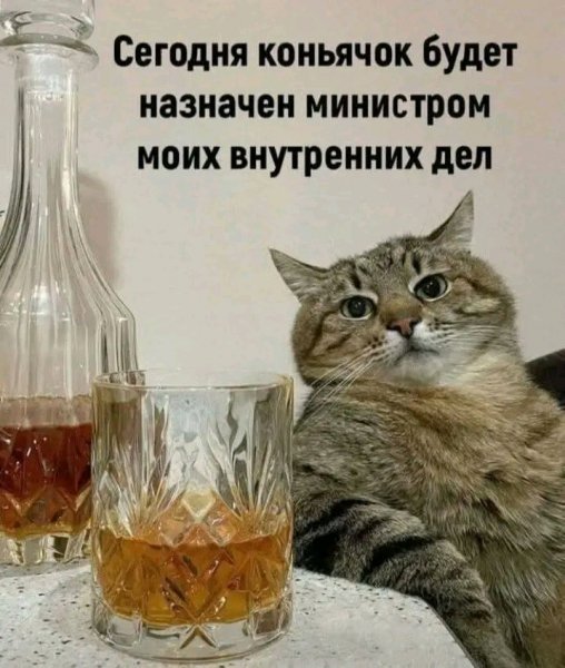 file_103310482