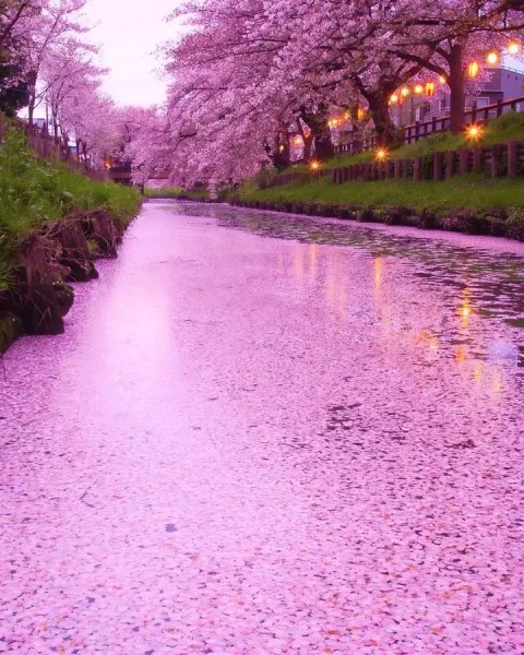 file_95979044