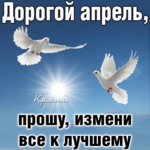IMG 20200330 181243