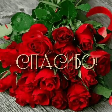 Анимированная открытка спасибо