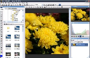 HornilStylePix1.0.2