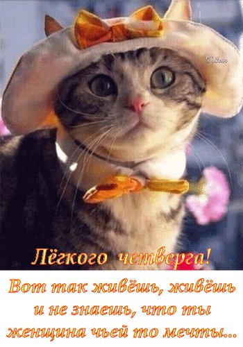 Анимированная открытка лёгкого четверга