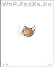 Vibrator Kitty