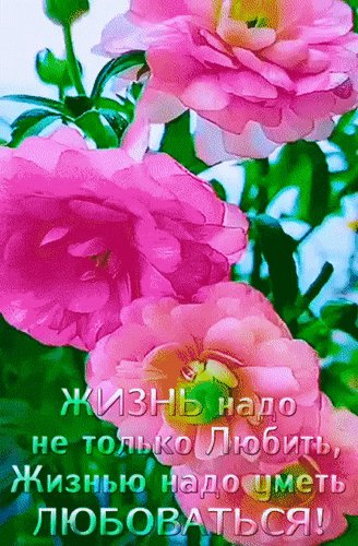 Анимированная открытка жизнь надо не