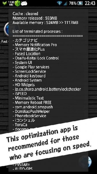 FastOptimizer