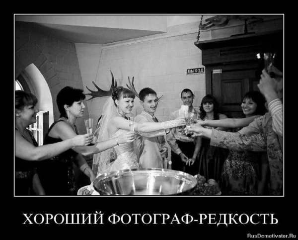 Хороший фотограф редкость