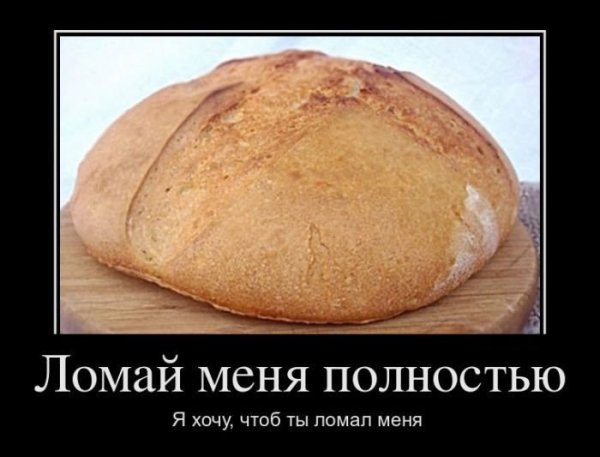 file_66486482