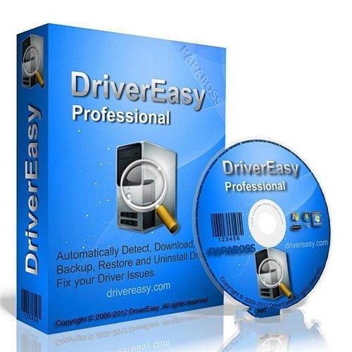 DriverEasy Professional-