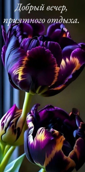 file_95008811