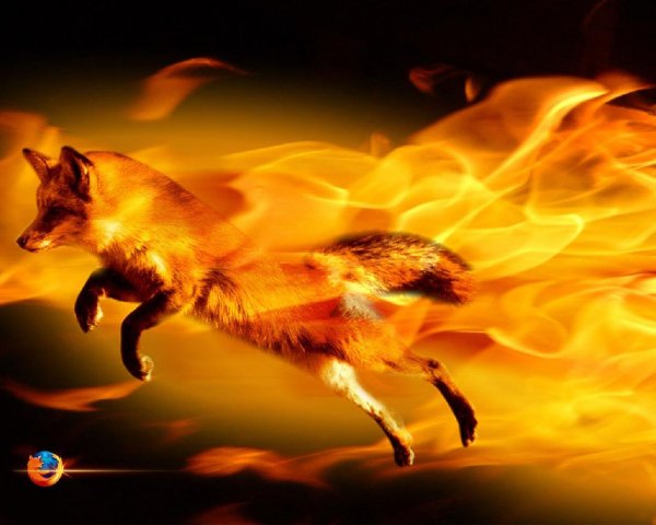 Firefox Setup 13.0.1