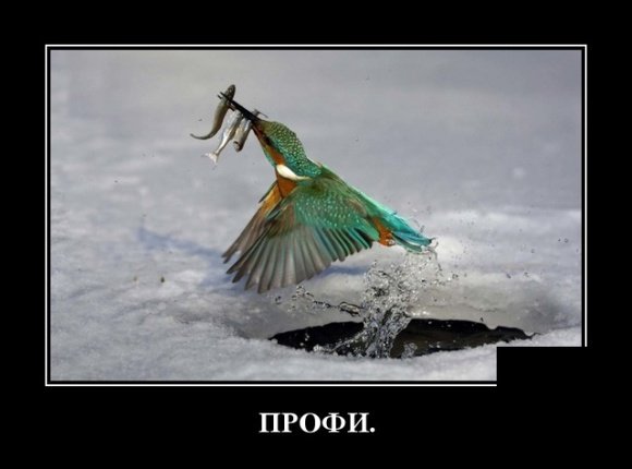 file_78276053