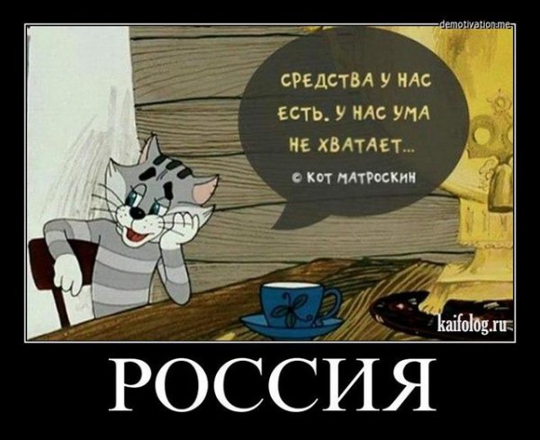 file_64516415