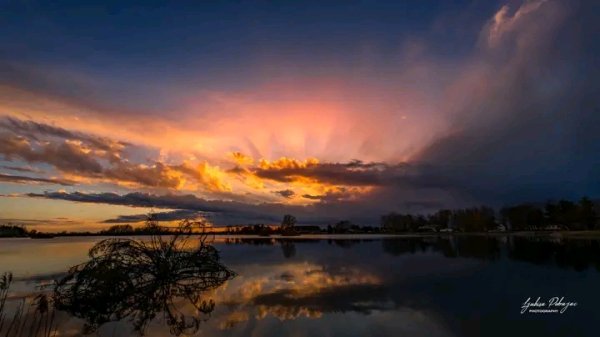 file_96306498