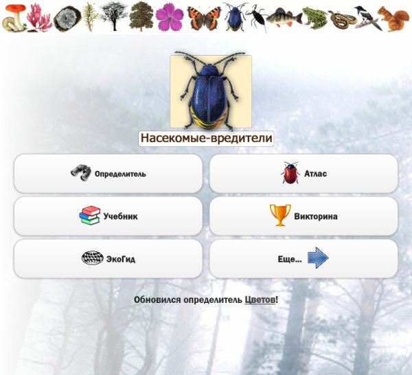 Насекомые вредители 3.02