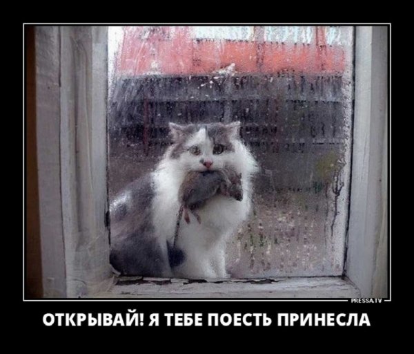 Открывай я тебе поесть принесла