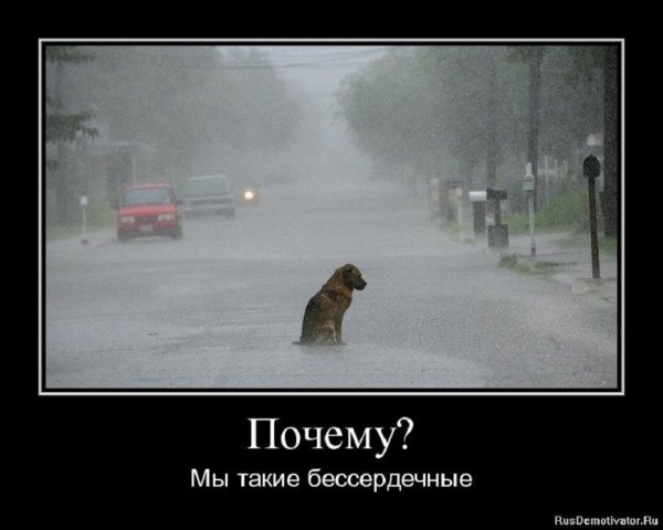 Почему