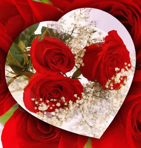 love 017064