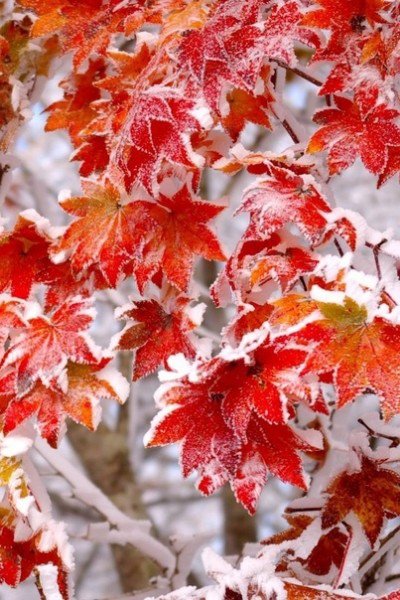 file_94875040