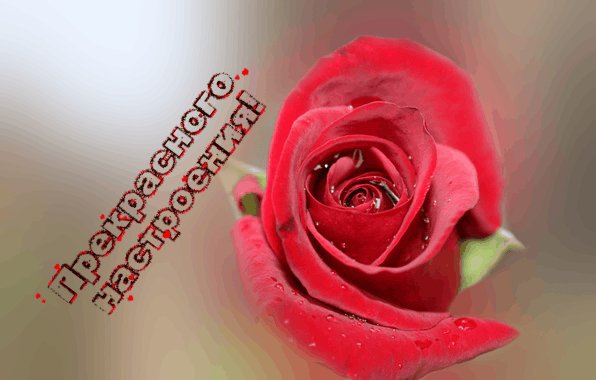 Прекрасного настроения