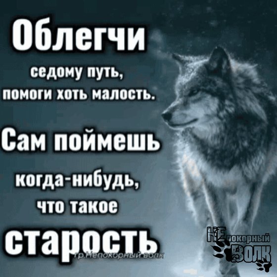 IMG 20260414 171234