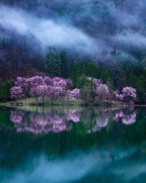 file_96575137