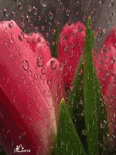 file_59110059