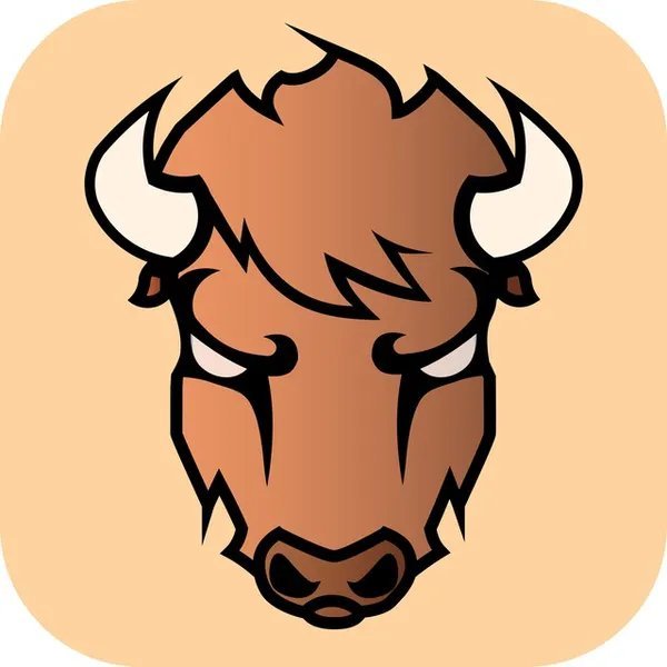 Bizon Installer 1008