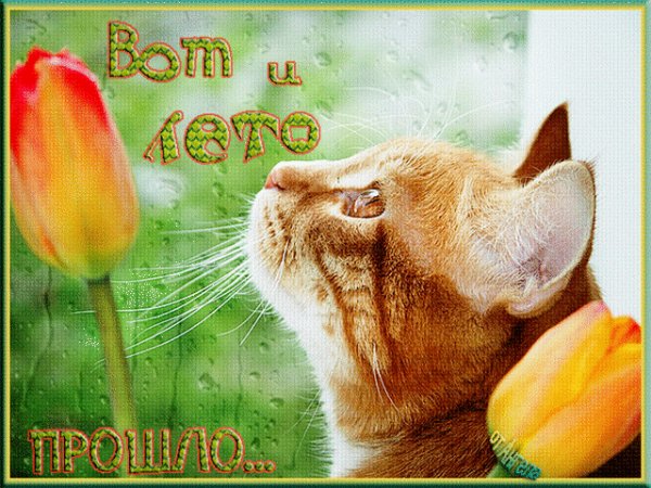 Вот и лето прошло!